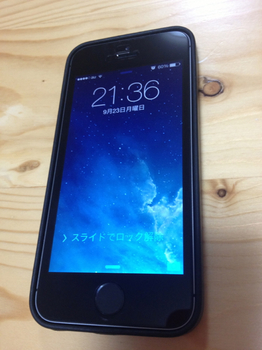 iPhone5s case6.jpg